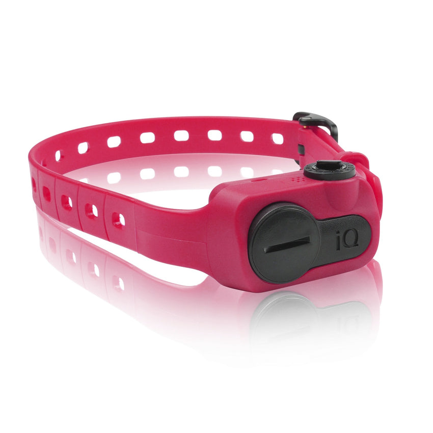 Dogtra iQ Pet No Bark Collar Pink