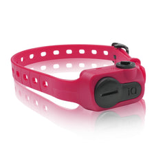 Dogtra iQ Pet No Bark Collar Pink