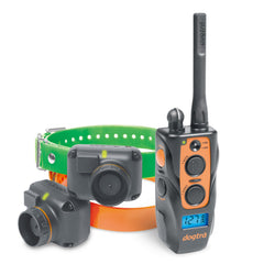 Dogtra 2702T and B Training and Beeper Collar